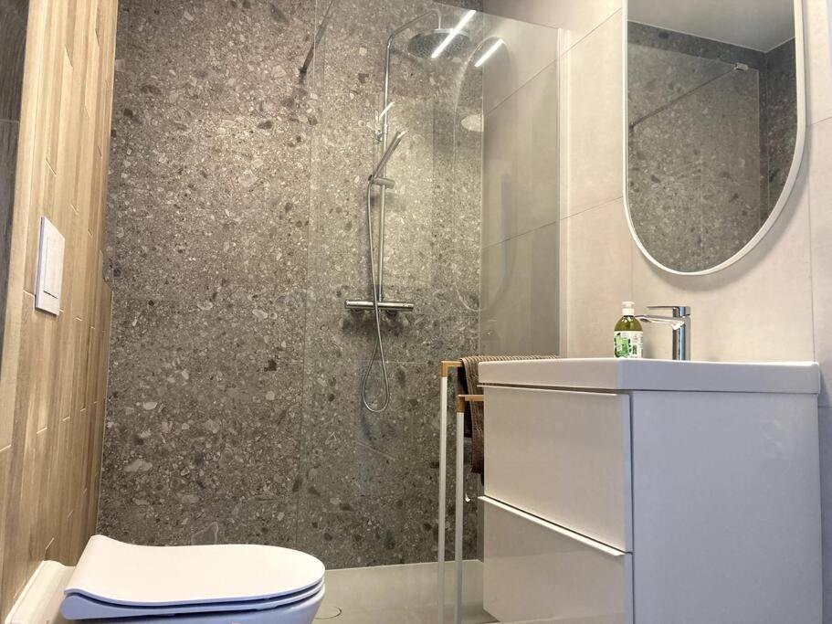 Sloneczny Apartament Z Garazem Przy Parku Kosciuszki カトヴィツェ エクステリア 写真