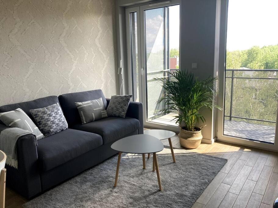 Sloneczny Apartament Z Garazem Przy Parku Kosciuszki カトヴィツェ エクステリア 写真
