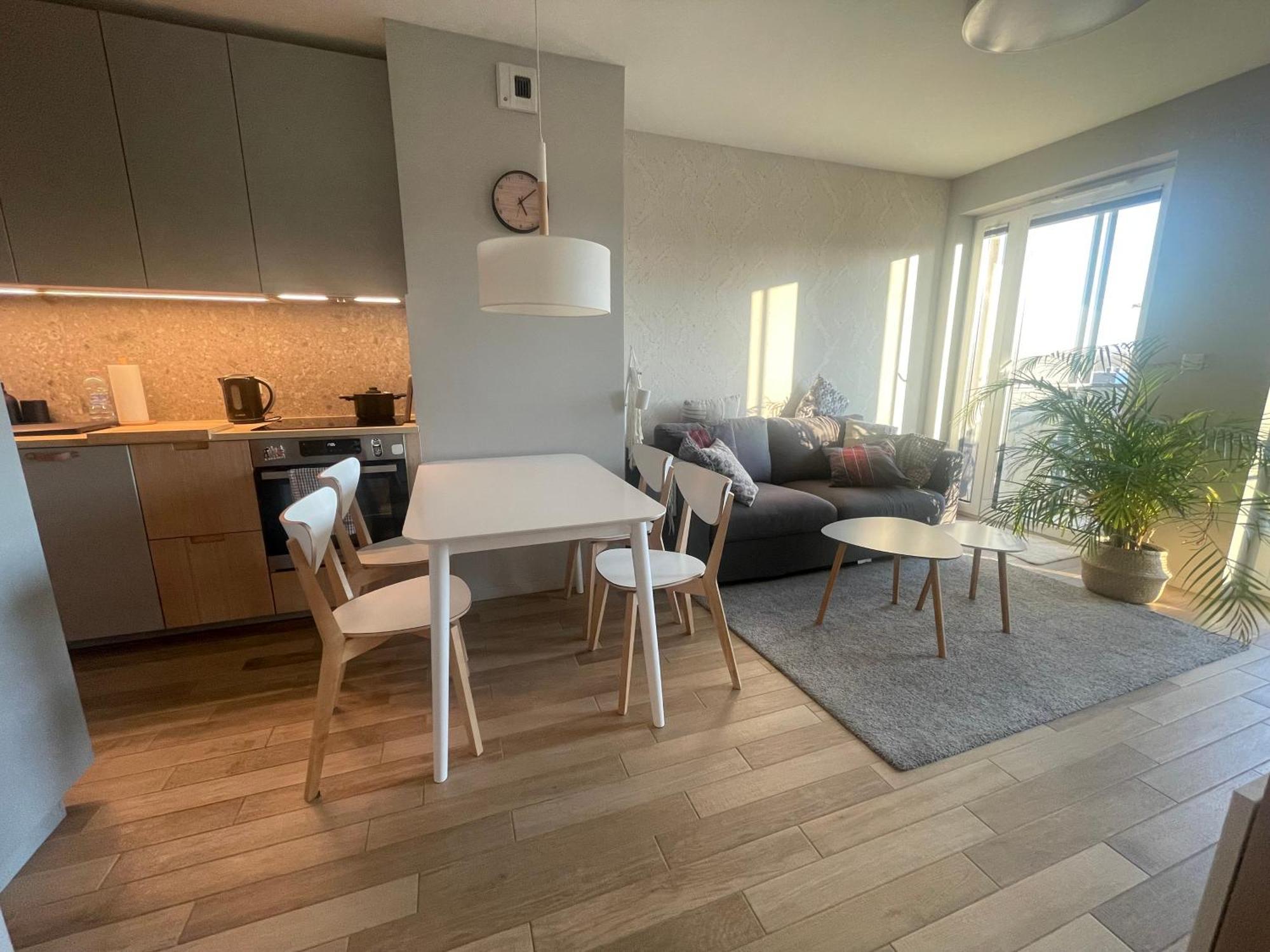 Sloneczny Apartament Z Garazem Przy Parku Kosciuszki カトヴィツェ エクステリア 写真