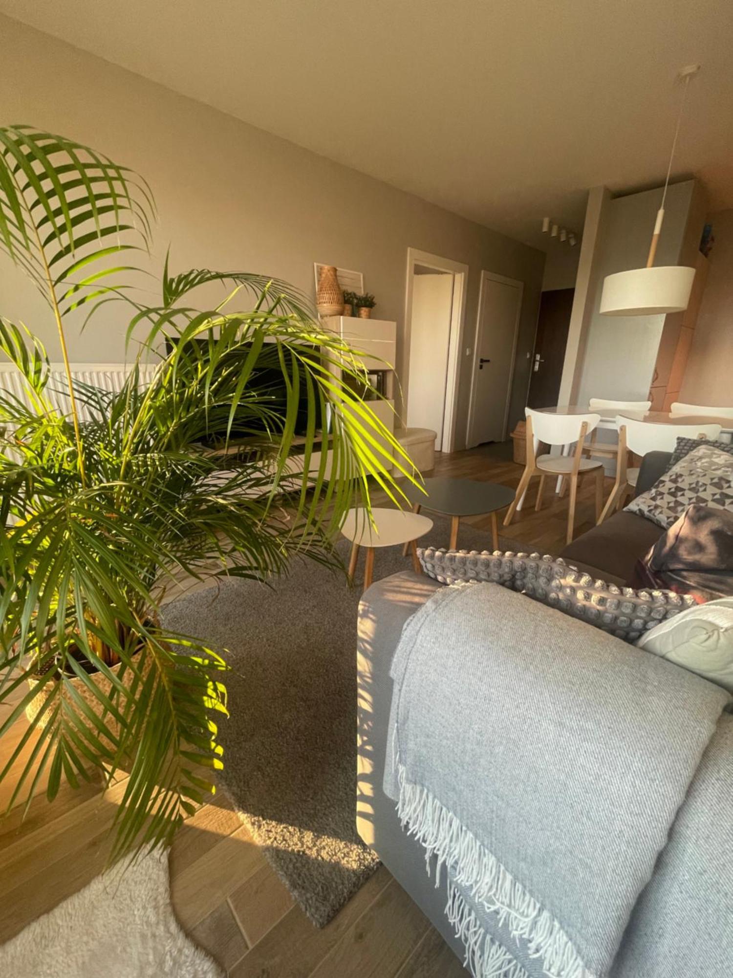 Sloneczny Apartament Z Garazem Przy Parku Kosciuszki カトヴィツェ エクステリア 写真